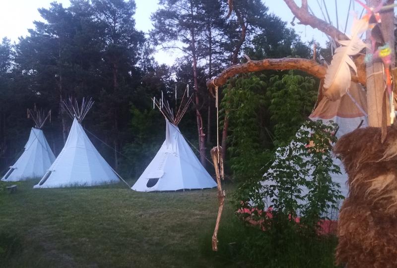 Mehrere weiße Zelte stehen im Survivalcamp nebeneinander