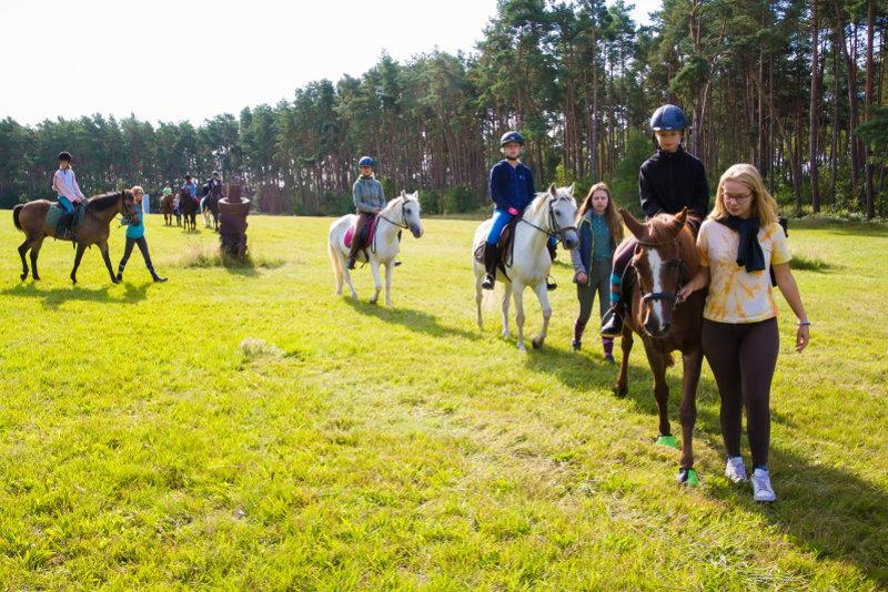 Im Kindercamp könnt ihr auch Reiten