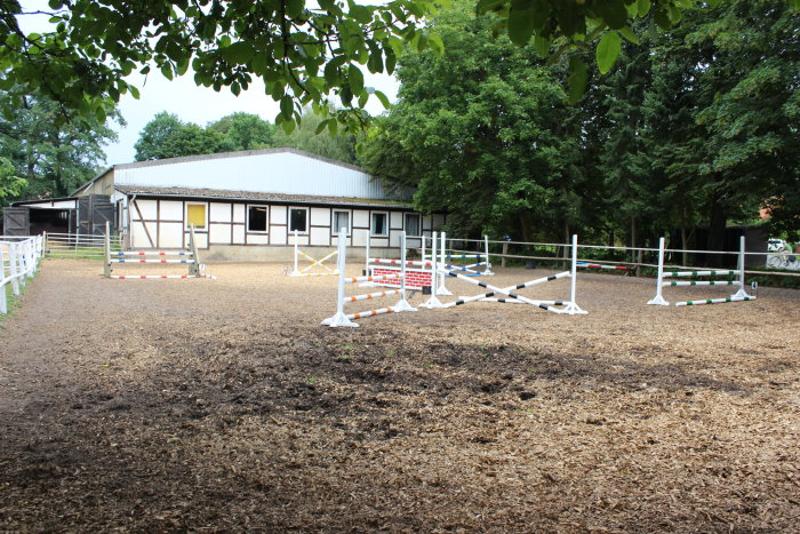 Auf dem Reitplatz von Lüneburger-Heide Reiterferien stehen Hindernisse