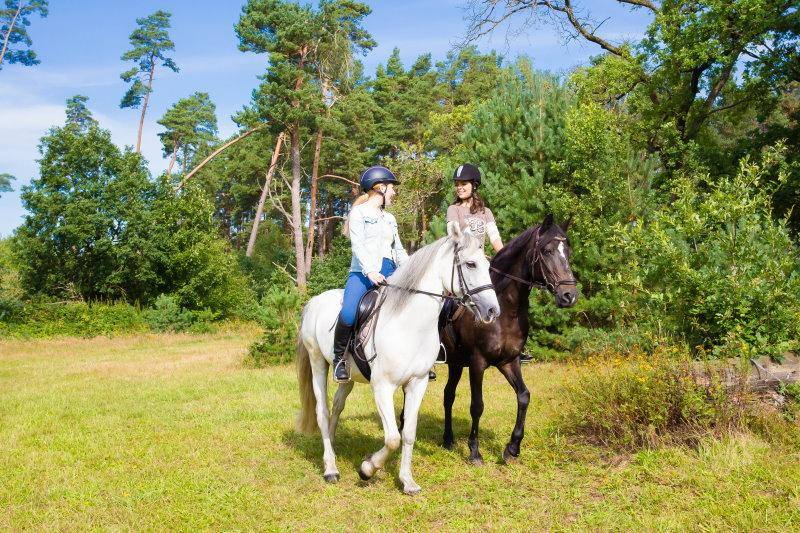 Teilnehmerinnen reiten bei Reiterferien Lüneburger Heide durch einen Wald