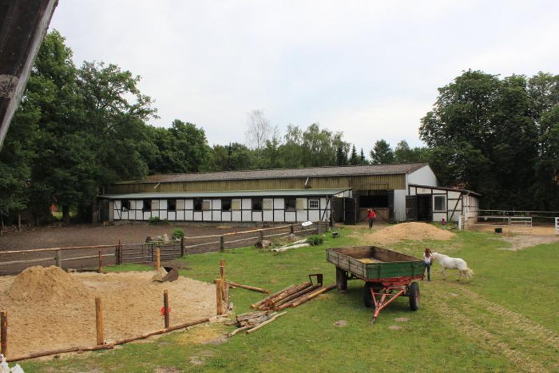 Ansicht einer Koppel für Pferde der Reitferien Lüneburger Heide