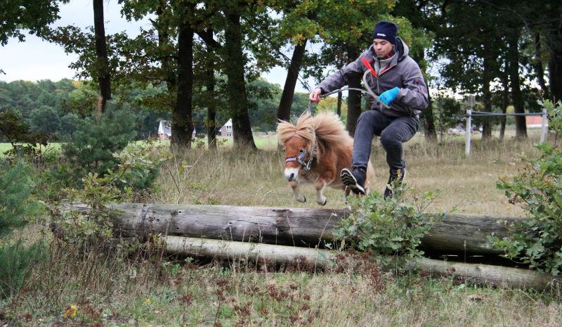 Ein Mann und ein Pony springen beim Reiturlaub Lüneburger Heide über einen Baumstamm