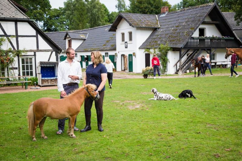 Teilnehmer von Reiterferien Lüneburger Heide auf einer großen Wiese