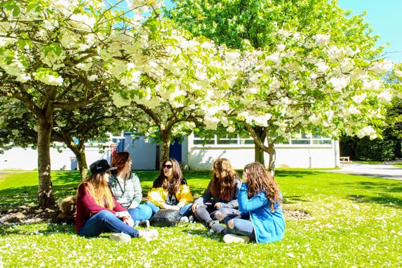 Schülerinnen machen Pause im Park neben Bäumen auf Sprachreise Irland Schüler