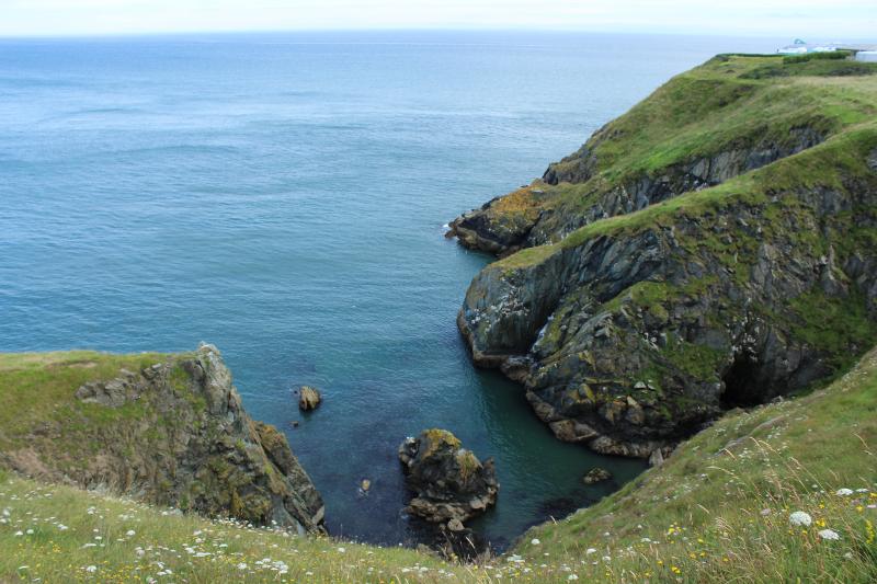 Eine Steilküste in der Natur auf Irland Sprachreise