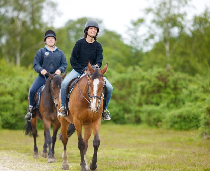 Zwei Freunde reiten hintereinander auf Englisch Sprachreise