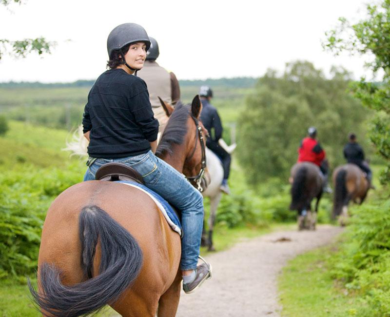 Schüler reiten auf Sprachreise einem Weg durch die Natur