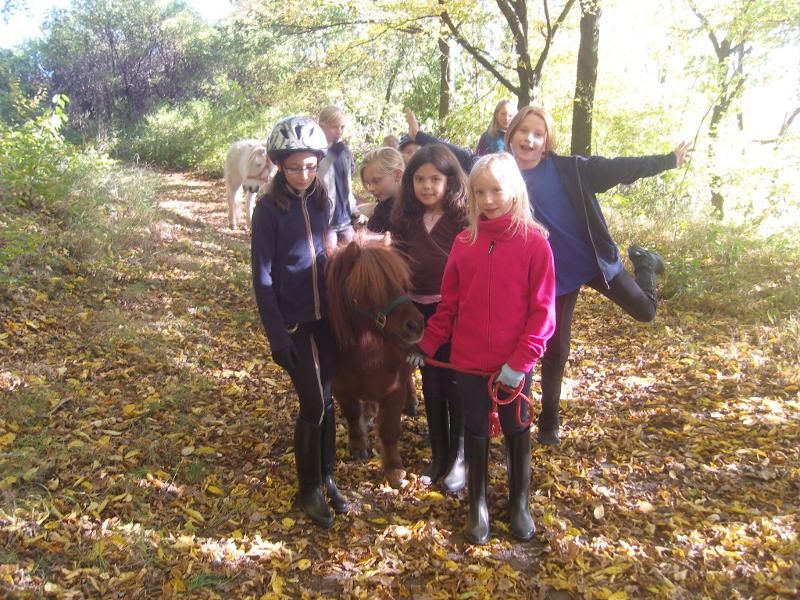Kinder der Ferienbetreuung NRW sind im Wald