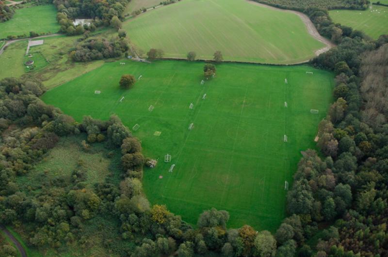 Viele große grüne Wiesen liegen im Sprachurlaub England Schüler neben einem Wald