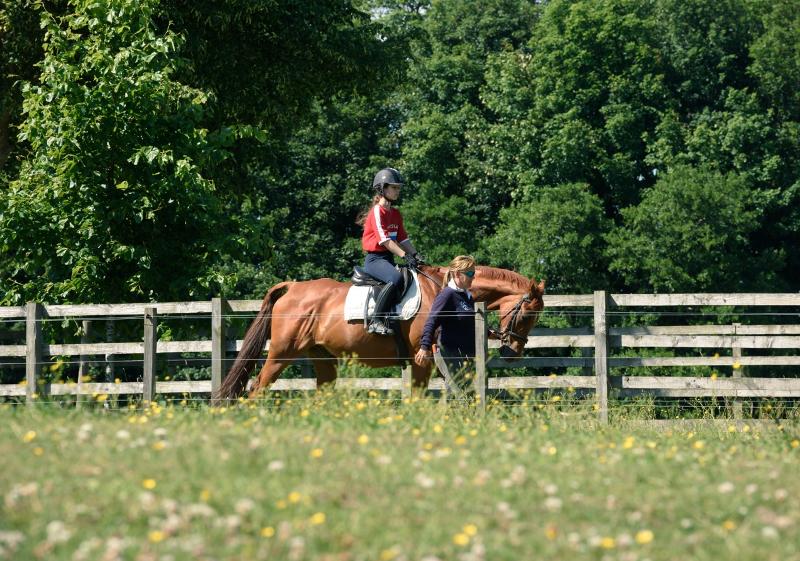 Ein Mädchen reitet während ihrer Sprachferien Schottland auf einem Pferd