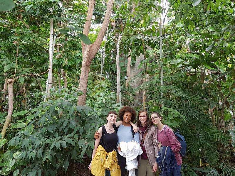 Vier Freunde auf Sprachreise machen ein Gruppenbild im Botanischen Garten