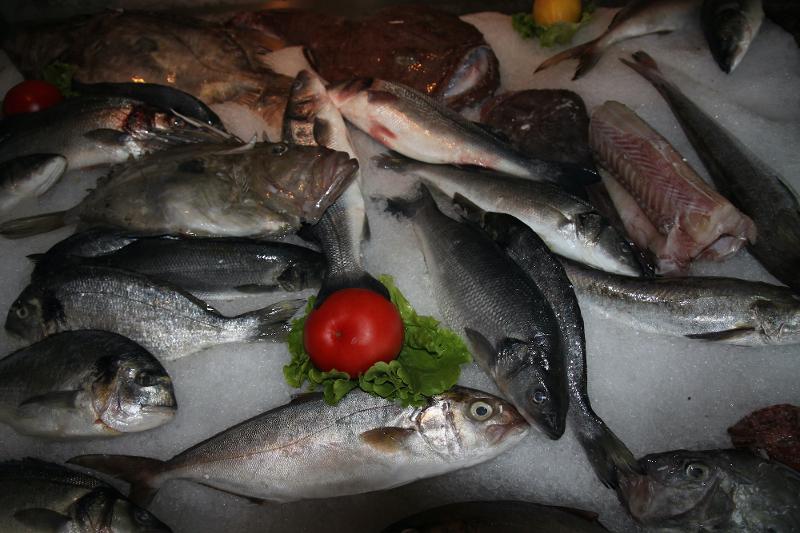 Gekühlte Fische bei einer Jugendreise ab 18