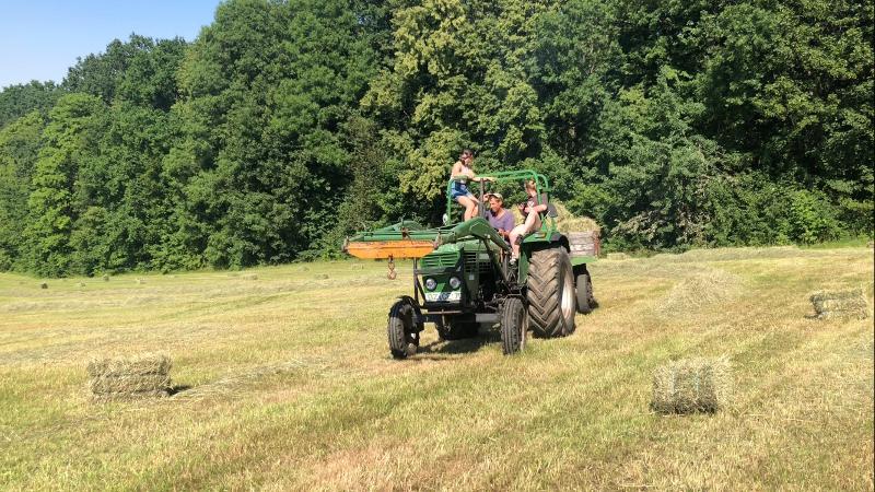 Kinder vom Erlebnis-Camp fahren Traktor