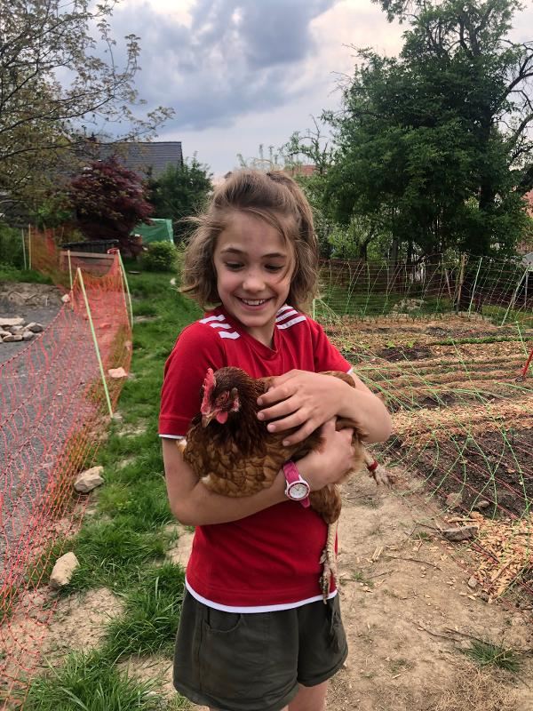 In der Ferienbetreuung hält ein Mädchen ein Huhn auf dem Arm