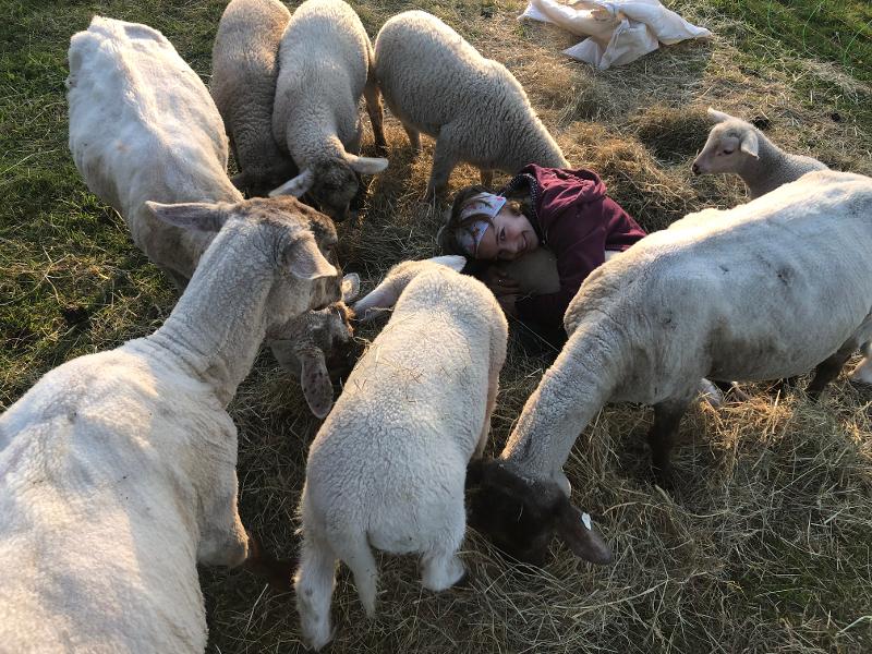 In der Ferienbetreuung habt ihr viel Zeit mit Tieren