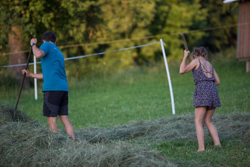 Im Ferienprogramm sammelt ihr Heu für die Tiere