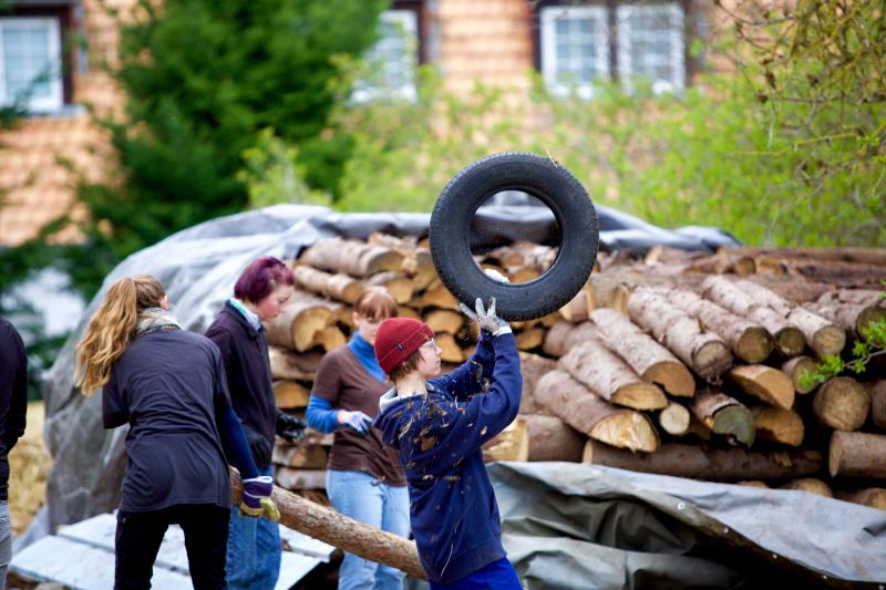Sammelt Holz für das Lagerfeuer im Ferienprogramm