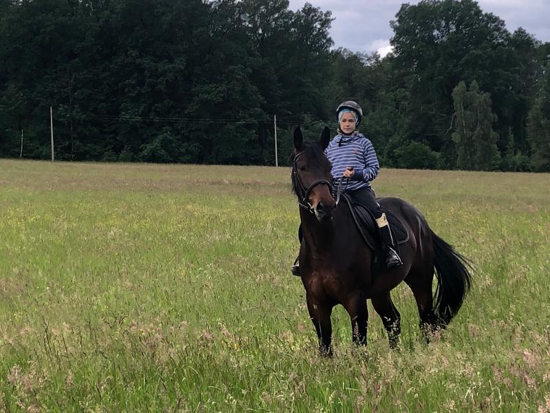 Im Sommerferienprogramm lernt ihr reiten