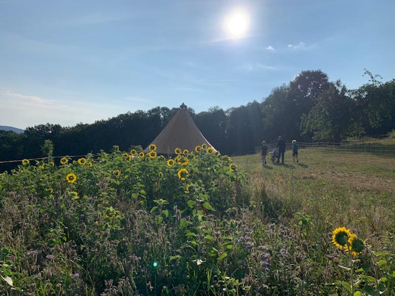 Das Sommerferienprogramm findet mitten in der Natur statt