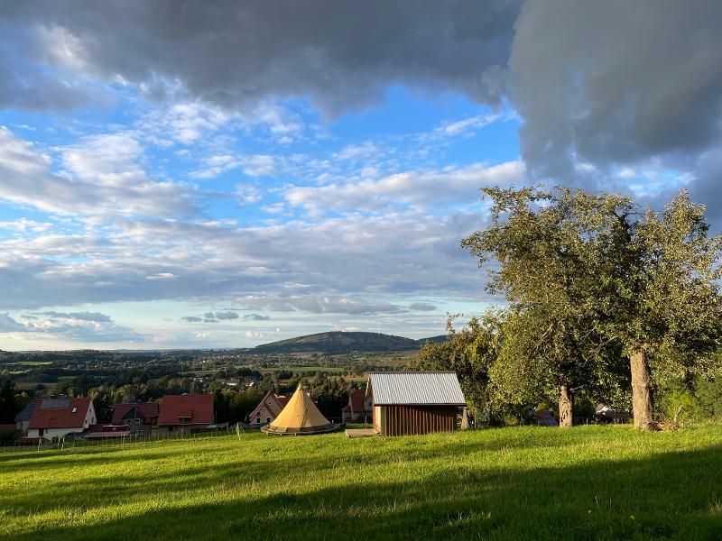 Erlebt die Natur im Sommerferienprogramm