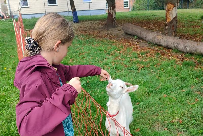 Ostercamp an der Mecklenburgischen Seenplatte - Foto 1
