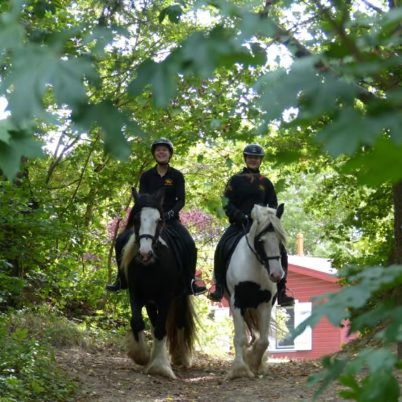 In den Winterferien Frankfurt reiten zwei Mädchen im Wald auf zwei Pferden