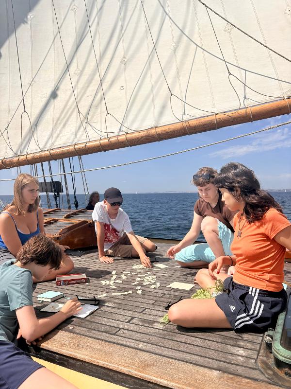 Segeltörn auf Englisch Ostsee 7 Tage - Foto 3