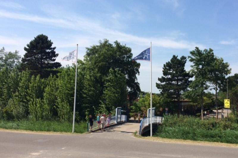 Eingangsbrücke zwischen Bäumen im Jugendcamp Ostsee