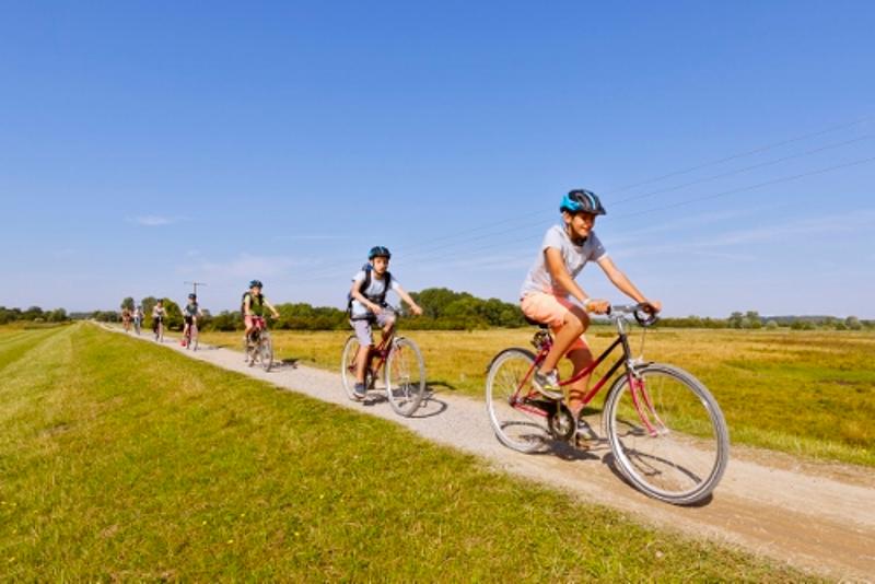 Gruppe fährt Fahrrad auf dem grünen Weg im Ostsee Jugendurlaub
