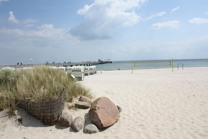 Steine und Strandgras am Meer im Ostsee Jugendurlaub