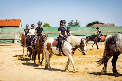 Schnupper-Reitferien in Thüringen Sommer - Saale-Orla