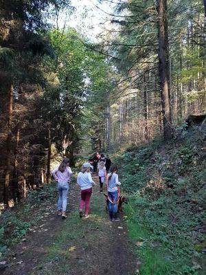 Kinder wandern durch den Wald auf der Ferienfreizeit in Belgien
