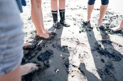 Englisch-Teenscamp auf Amrum Ostern - Nordsee