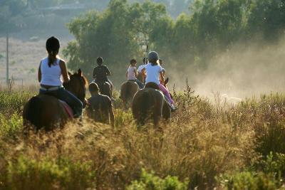 Englisch-Reitferien in der Lüneburger Heide Sommer - Clenzer Schweiz