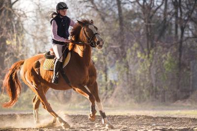 Englisch-Daycamp mit Reiten am Niederrhein - Niedderrhein