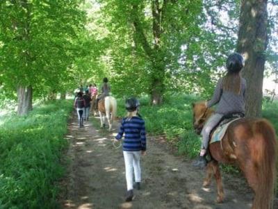 Englisch-Reitcamp Born an der Ostsee - Darß