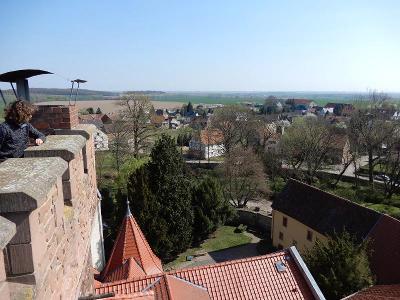 Englisch-Actioncamp auf Schloss Altenhausen Sommer - Börde