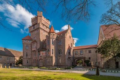 Englisch-Reitcamp auf Schloss Altenhausen Herbst - Börde