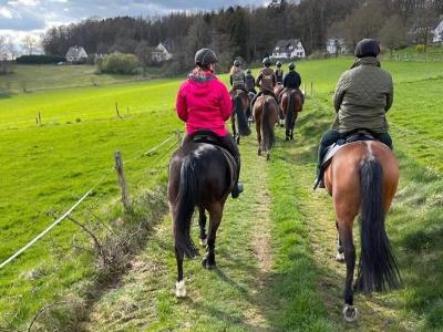 Englisch-Reitcamp Wiehl bei Köln Ostern - Oberbergischer Kreis