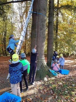 Englisch-Actioncamp Monschau Sommer - Eifel