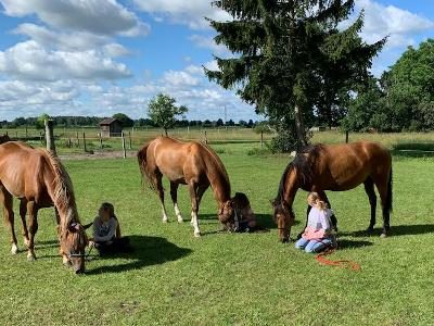 Kinder der Berlin Herbstferien sind auf der Weide
