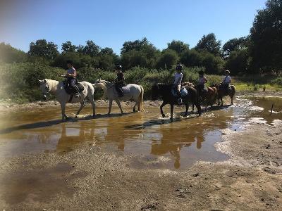 Initiation à l’Équitation en Gironde Été - Gironde