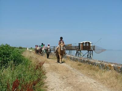 Équitation Perfectionnement Ado en Gironde - Gironde
