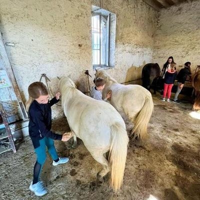 Equitation et Sensations en Hautes-Pyrénées 10-12 ans - Haute-Pyrénées (65)