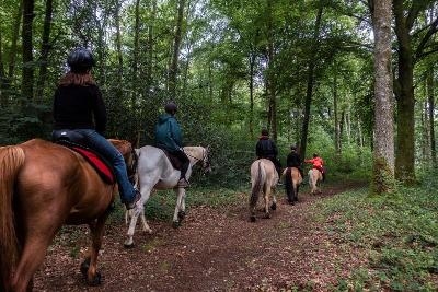 Equitation et Sensations en Hautes-Pyrénées 12-14 ans - Haute-Pyrénées (65)
