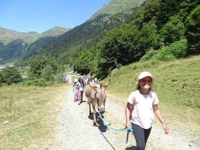 Découverte des Pyrénées avec l'âne - Pyrénées-Atlantiques (64)