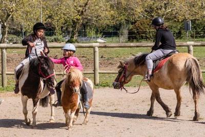 Équitation et Activités Artistiques en Pyrénées Hiver - Pyrénées-Orientales
