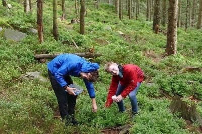 Englisch-Camp im Schwarzwald - Schwarzwald