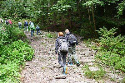 Aktivcamp im Schwarzwald - Schwarzwald
