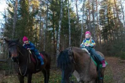 Reitcamp mit Empowerment Coaching bei Schweinfurt - Unterfranken